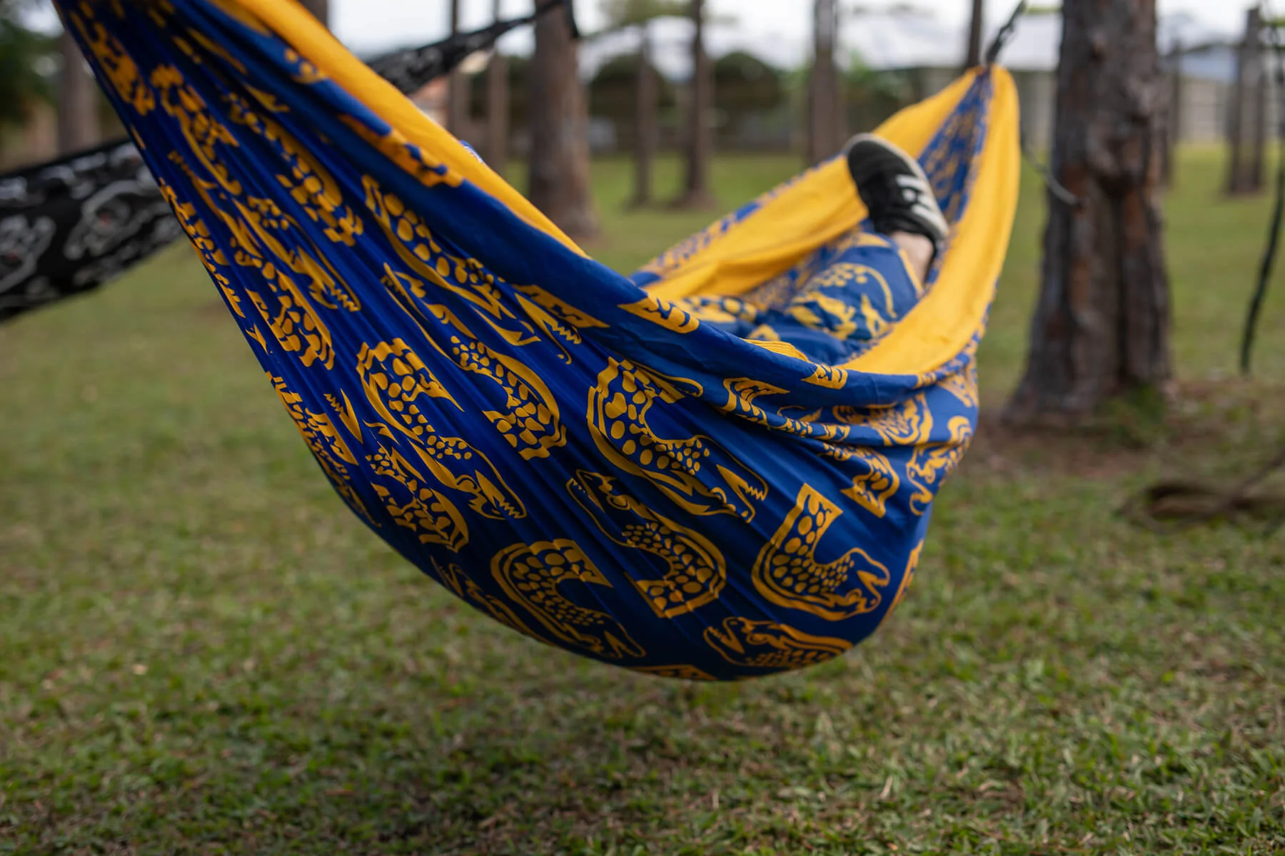 Eels - NRL Recycled Hammock with Straps - Image 5