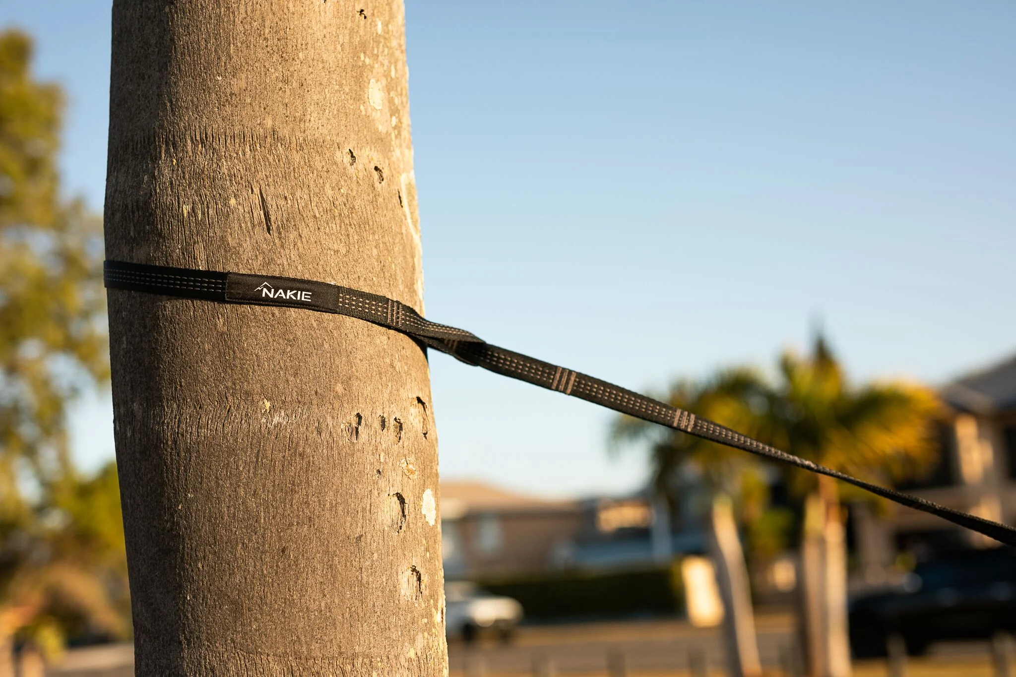 Hammock Straps - Image 5