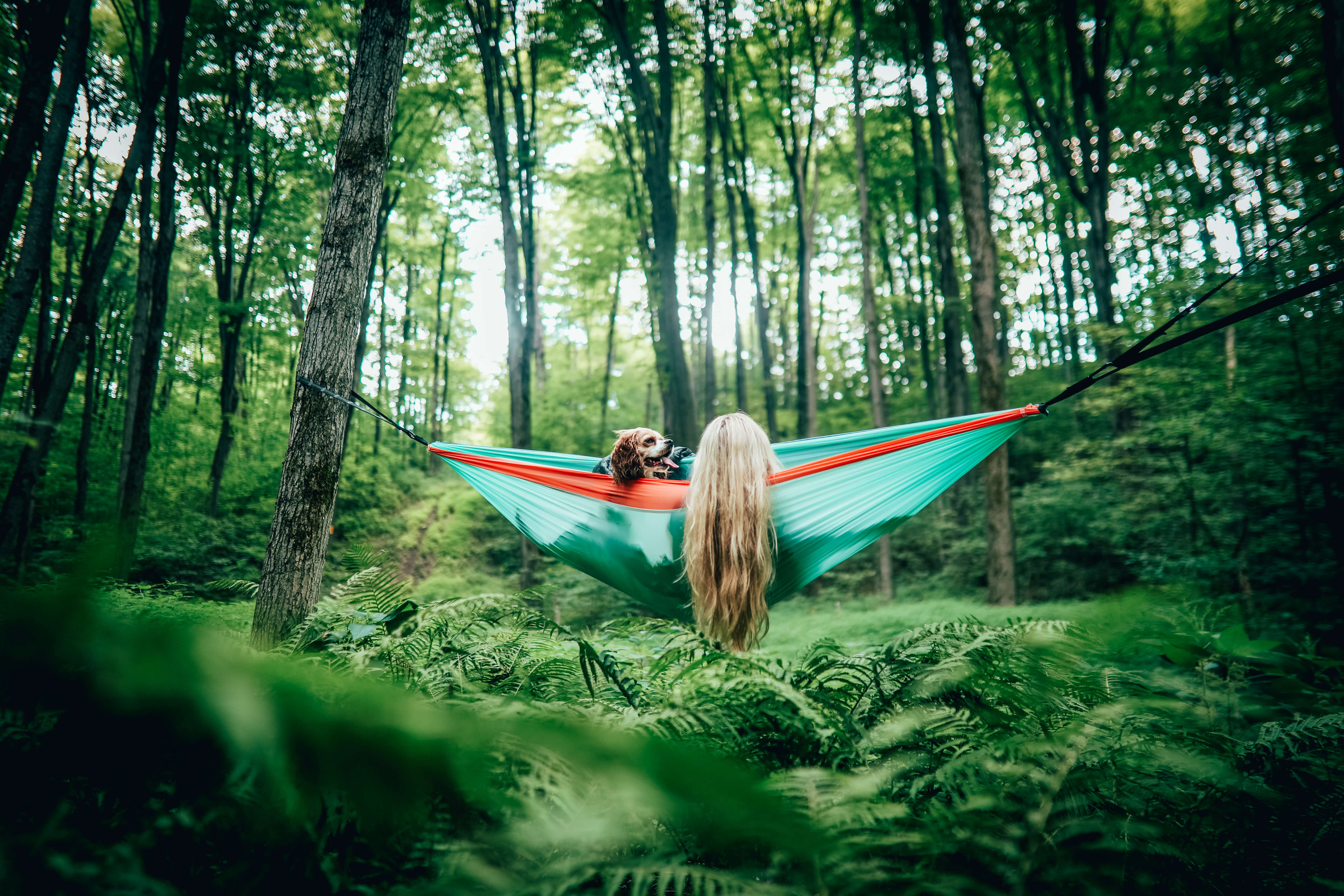 Recycled Hammock, Towel and Picnic Blanket Combo - Image 7