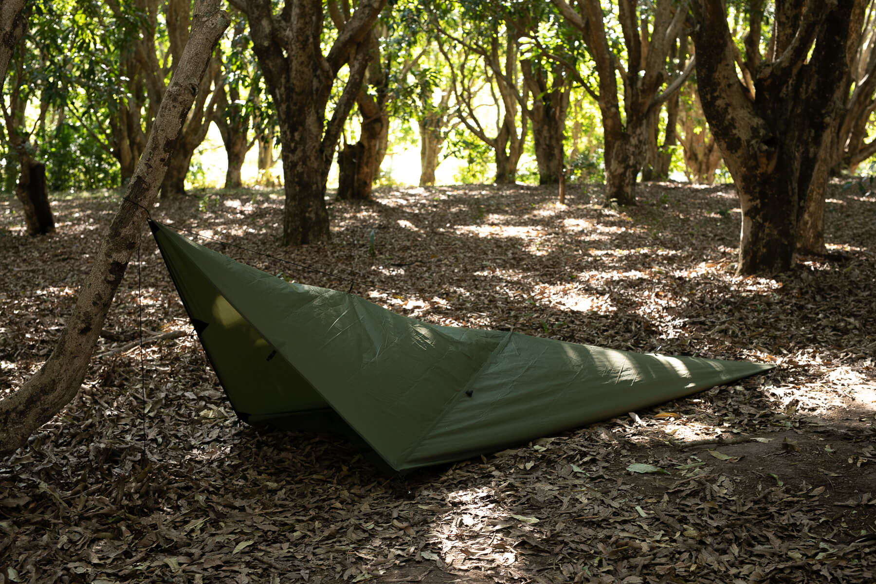 Olive - Ultralight Tarp No Knots - Image 11