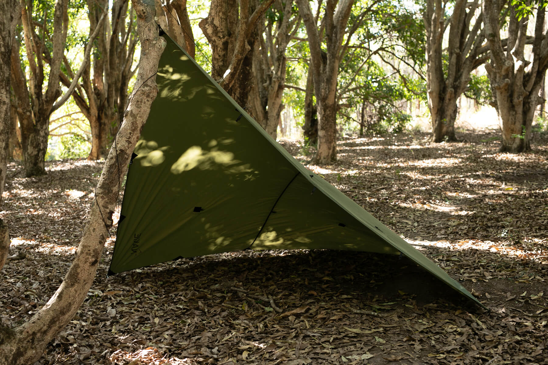 Olive - Ultralight Tarp No Knots - Image 5